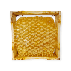 Schwarzwälder Wabenglück – purer Honiggenuss direkt aus dem Bienenstock